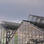 Cum abordăm proiectarea halelor pentru clienți din agricultură